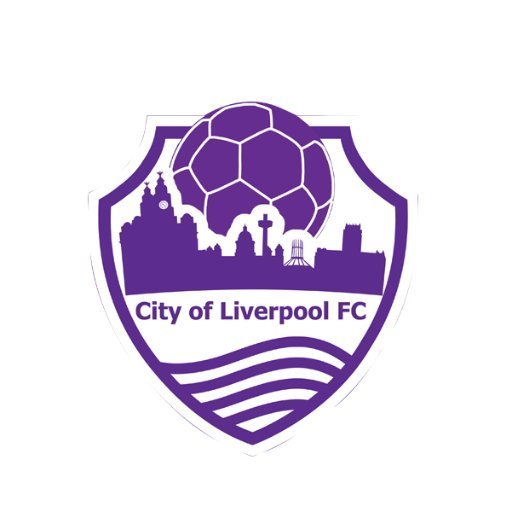 Logo del team
