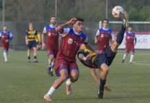 Le Migliori 10 Squadre da Allenare in Football Manager 24 per una Sfida Avvincente Le Migliori 10 Squadre da Allenare in Football Manager 24